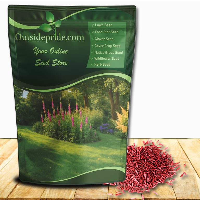 Can Grass Seed Survive Cold Weather