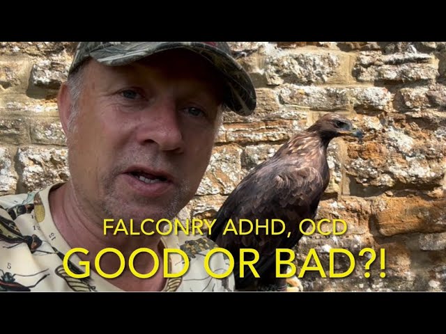 Can Hawks Survive Cold Weather