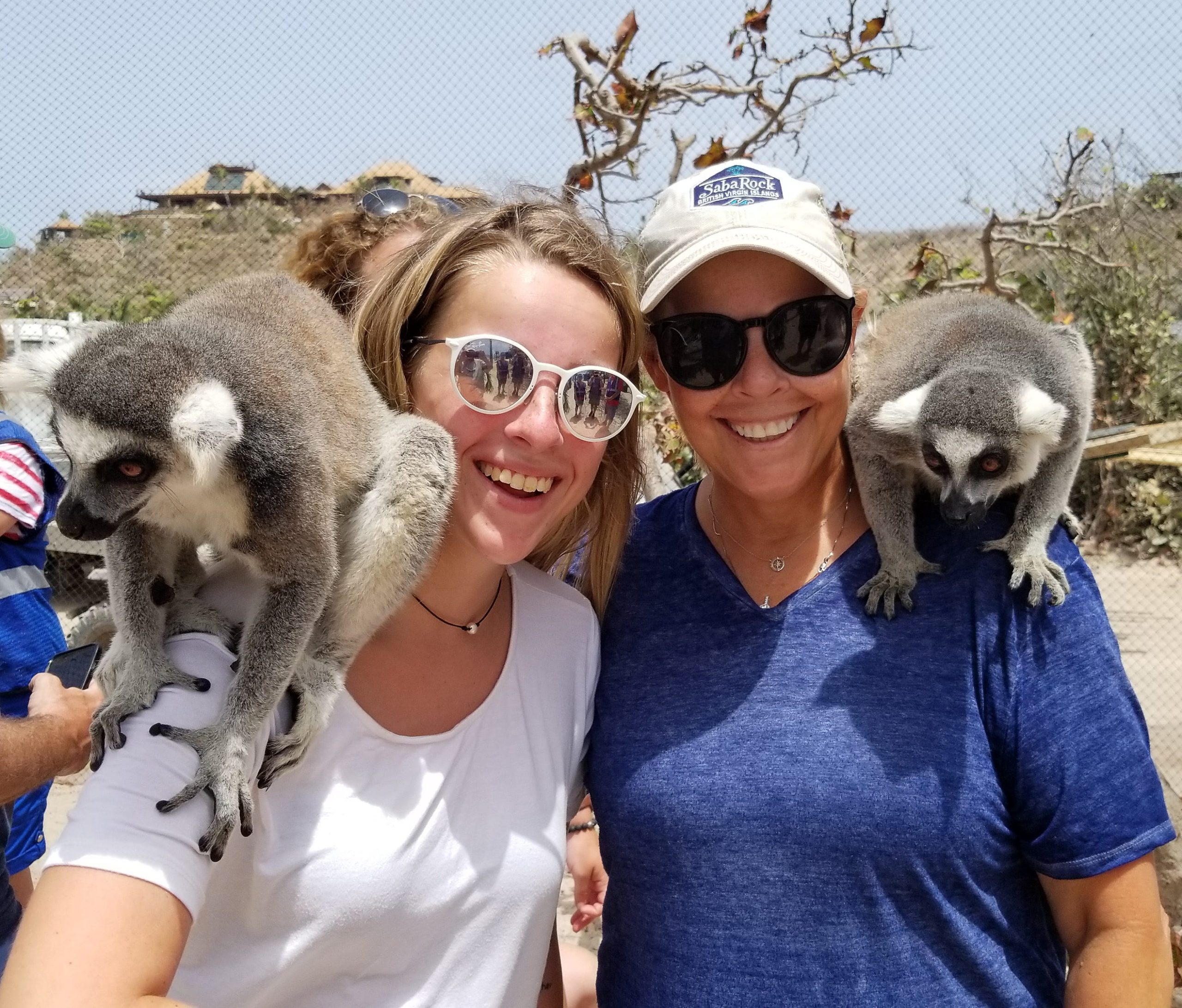 Did the Necker Island Lemurs Survive the Hurricane