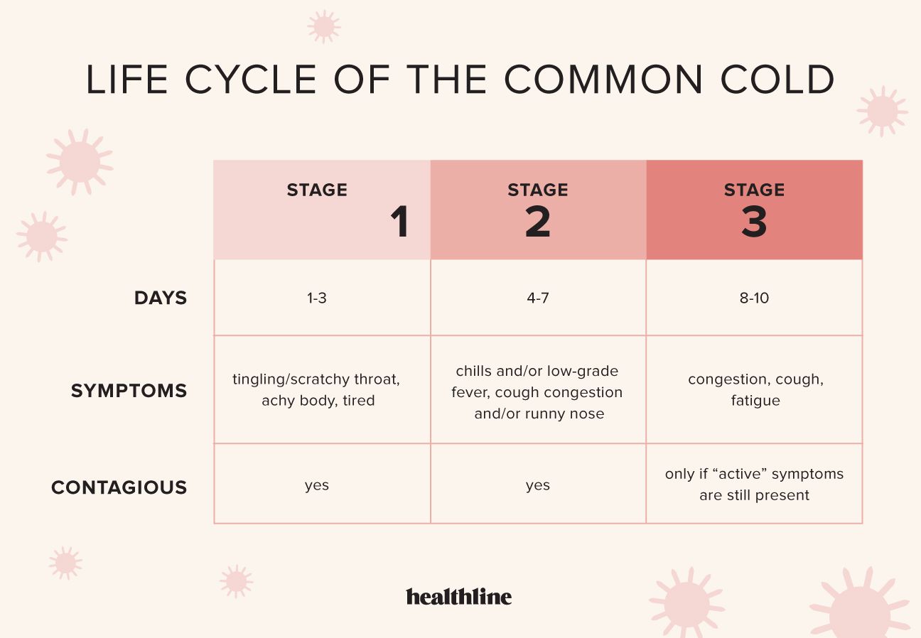 Does the Flu Survive in Cold Weather