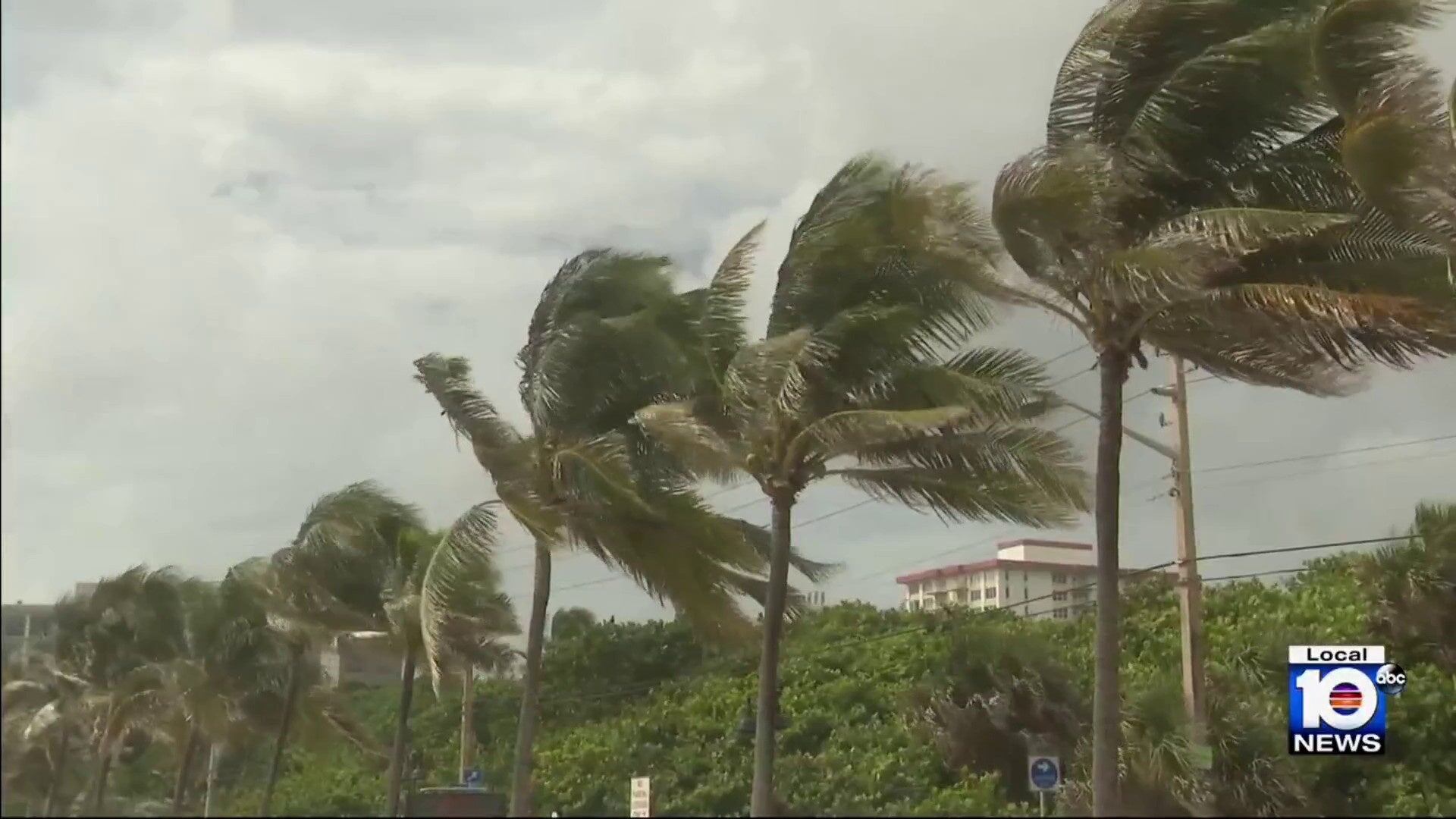 How Does Key West Survive Hurricanes
