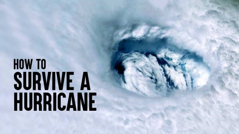 How to Survive a Hurricane Article