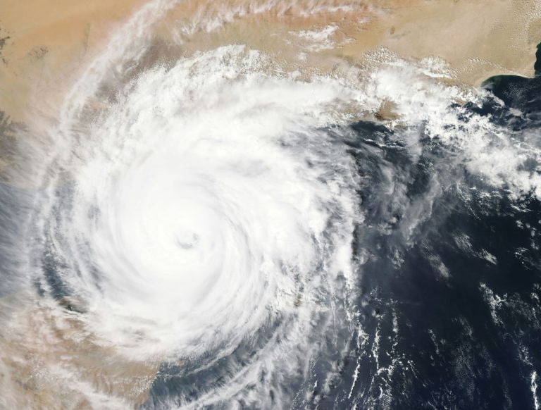 How to Survive a Hurricane Florence