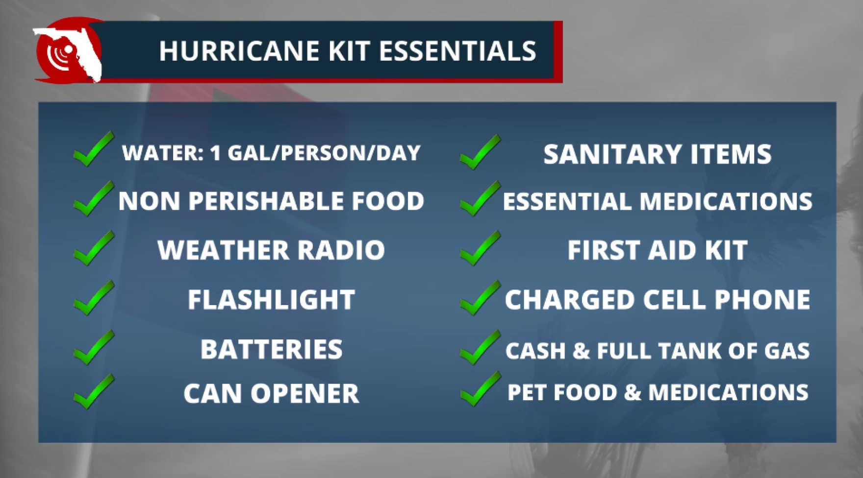 How to Survive a Hurricane in Your House