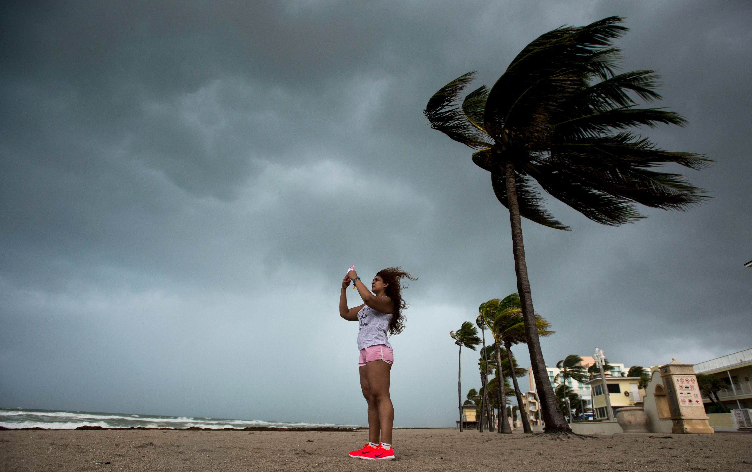 How to Survive a Hurricane Irma