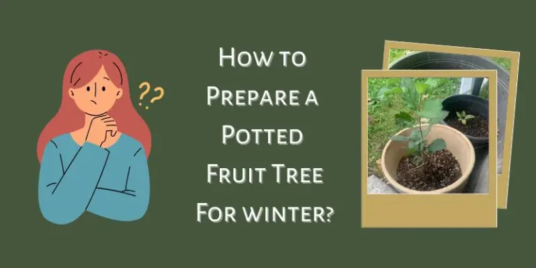 What Fruit Trees Can Survive Cold Weather