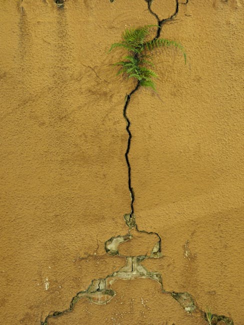 Can Concrete Survive a Hurricane: Unveiling Its True Strength