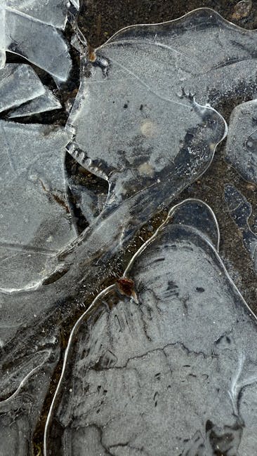 Do Aphids Survive in Cold Weather? Shocking Truth Revealed