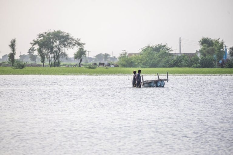 How Did the Villages Survive the Hurricane: Unbelievable Resilience Revealed