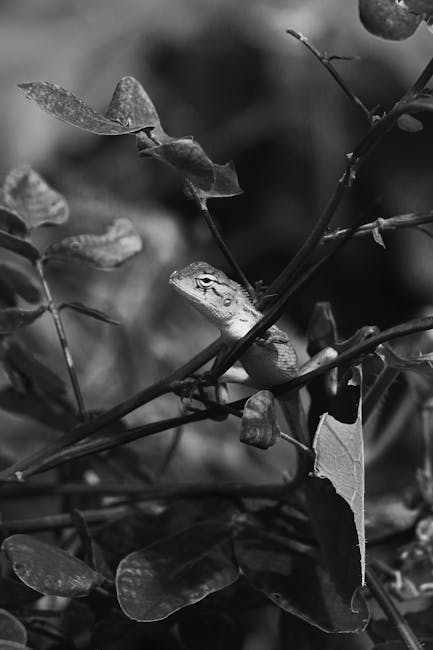 How Lizards Survive Hurricanes Leaf Blower: Shocking Survival Secrets