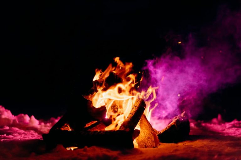 How to Survive in Cold Weather: Essential Tips for Staying Warm