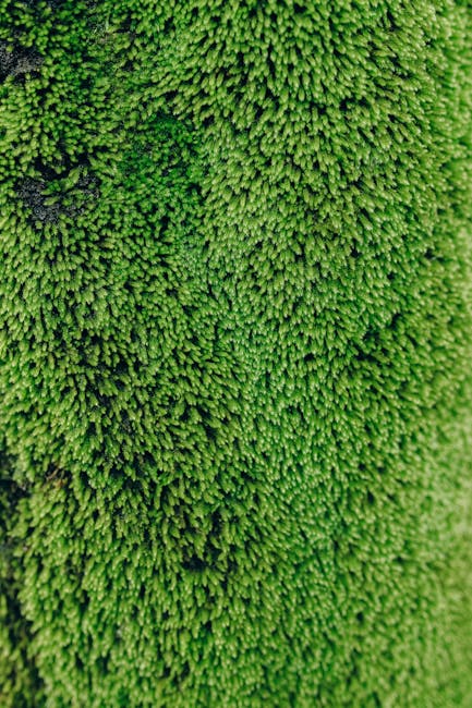 What Plants Can Survive Cold Weather: Top Hardy Varieties Revealed