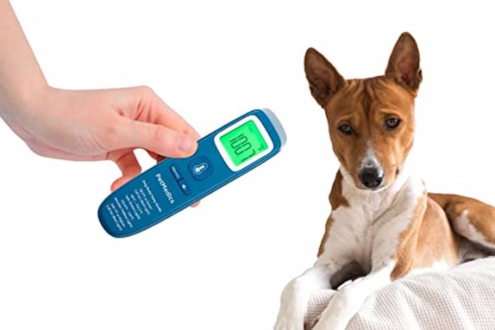 digital rectal thermometer for puppies
